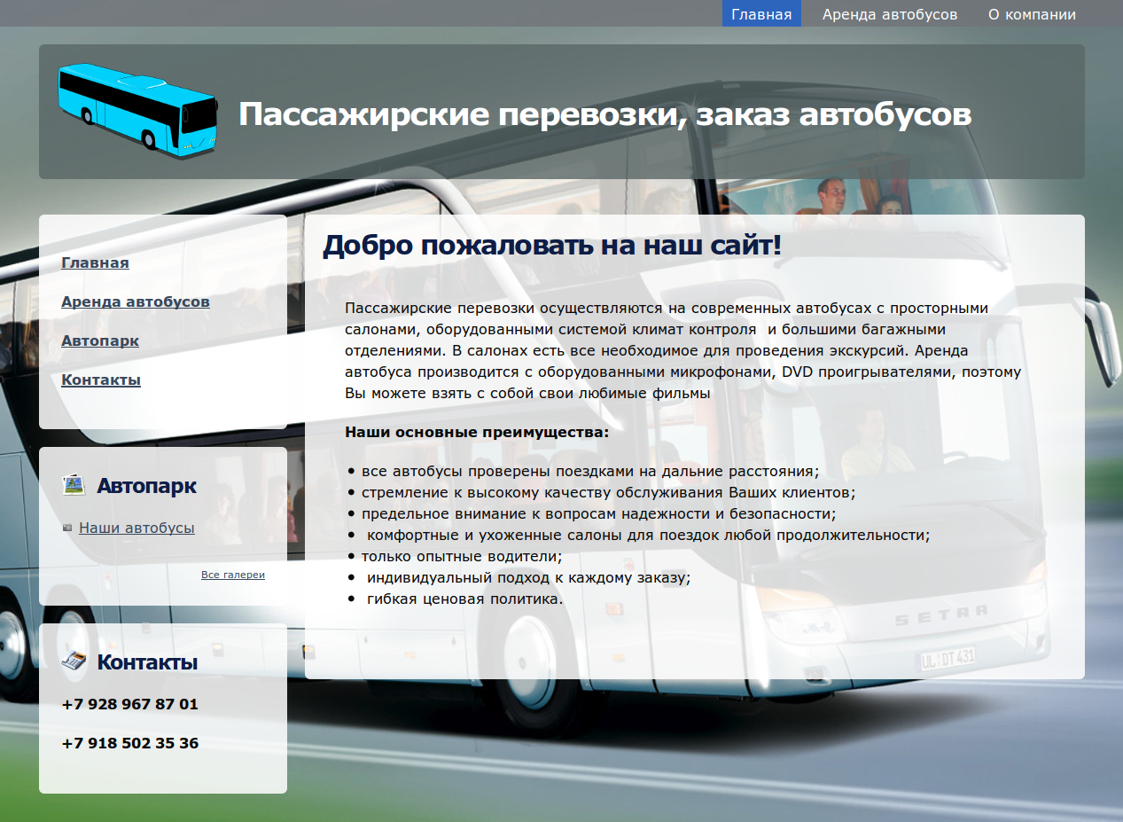 Курсовой проект пассажирские перевозки